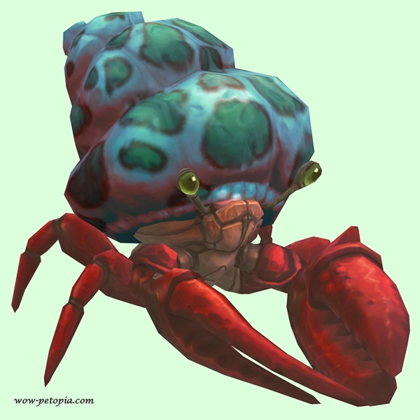 Red Hermit Crab w/ Green-Spotted Teal Shell