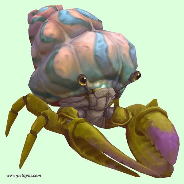 Green & Purple Hermit Crab w/ Pale Orange & Blue Shell