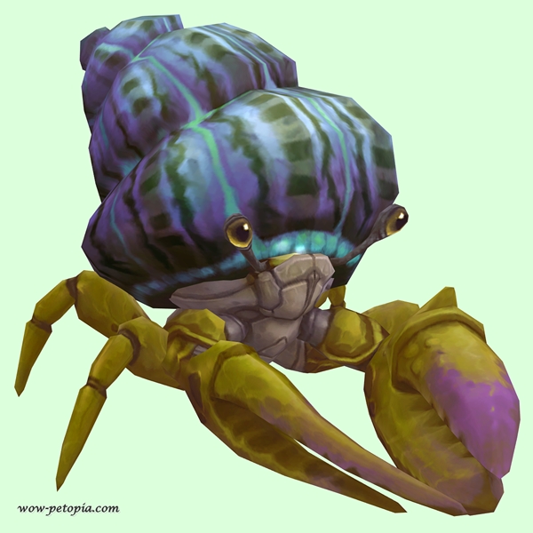 Green & Purple Hermit Crab w/ Purple & Green Shell