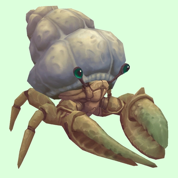 Ivory Hermit Crab w/ Plain Shell