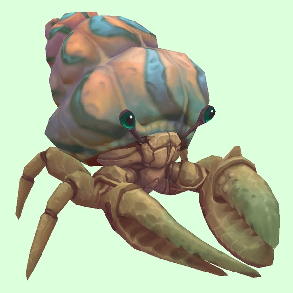 Ivory Hermit Crab w/ Orange & Blue Shell