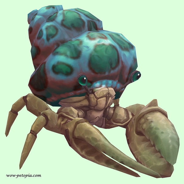 Ivory Hermit Crab w/ Green-Spotted Teal Shell