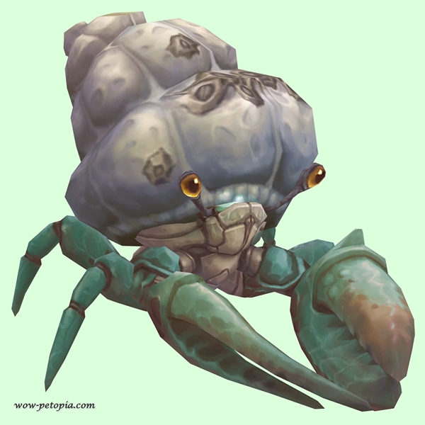 Bronze-Green Hermit Crab w/ Barnacled Shell