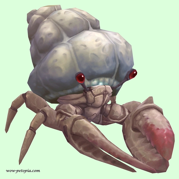 Red-Tan Hermit Crab w/ Plain Shell