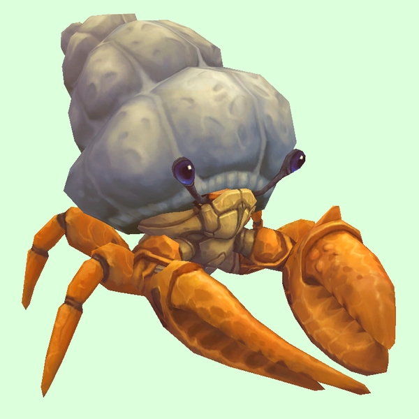 Orange Hermit Crab w/ Plain Shell