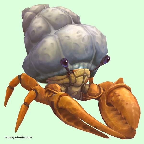 Orange Hermit Crab w/ Plain Shell