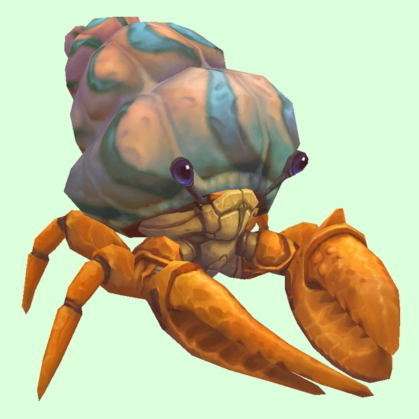 Orange Hermit Crab w/ Pale Orange & Blue Shell