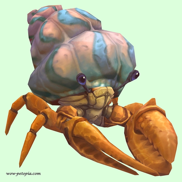 Orange Hermit Crab w/ Pale Orange & Blue Shell