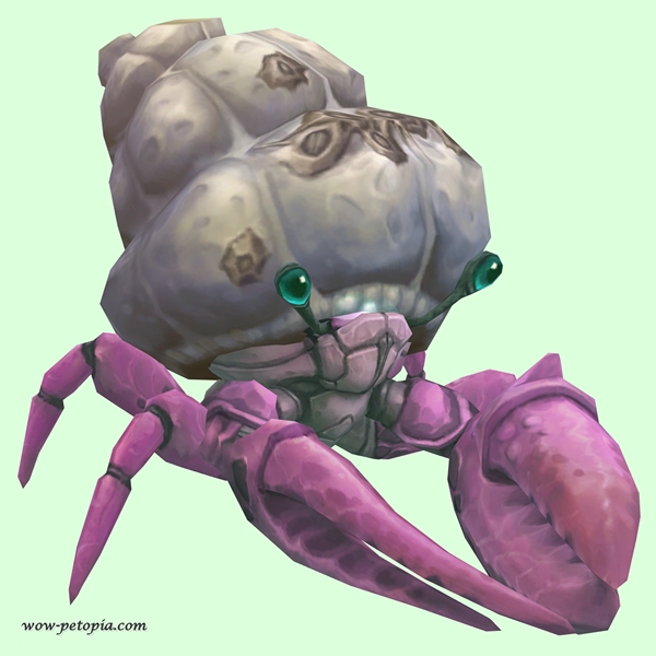 Pink Hermit Crab w/ Barnacled Shell