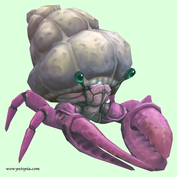 Pink Hermit Crab w/ Plain Shell