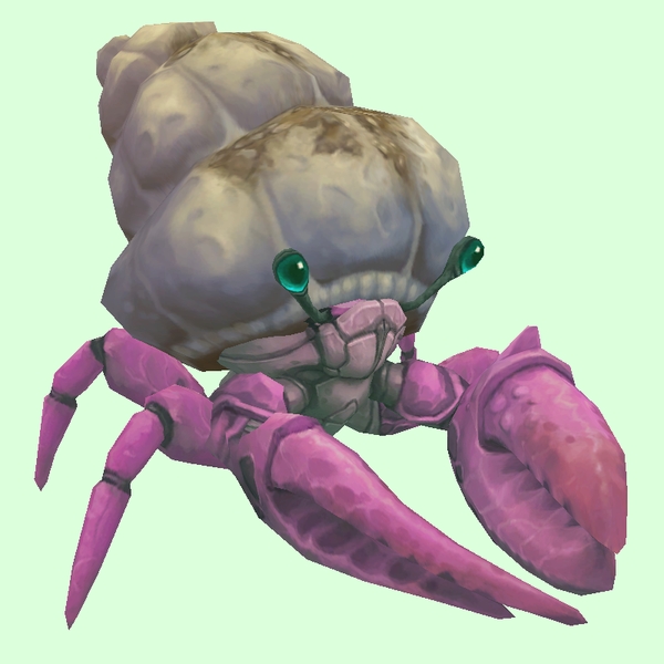 Pink Hermit Crab w/ Sandy Shell