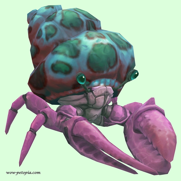 Pink Hermit Crab w/ Green-Spotted Teal Shell