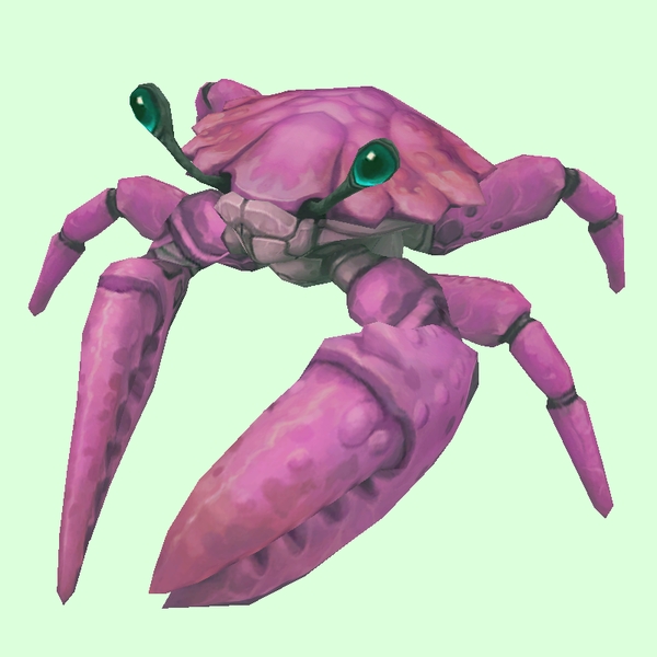 Magenta Crab