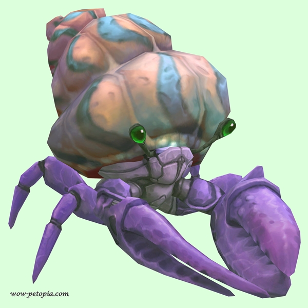 Purple Hermit Crab w/ Pale Orange & Blue Shell