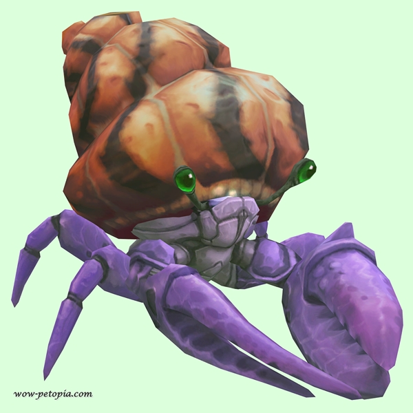 Purple Hermit Crab w/ Orange & Black Shell