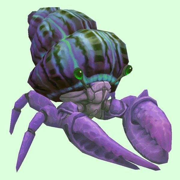 Purple Hermit Crab w/ Purple & Green Shell