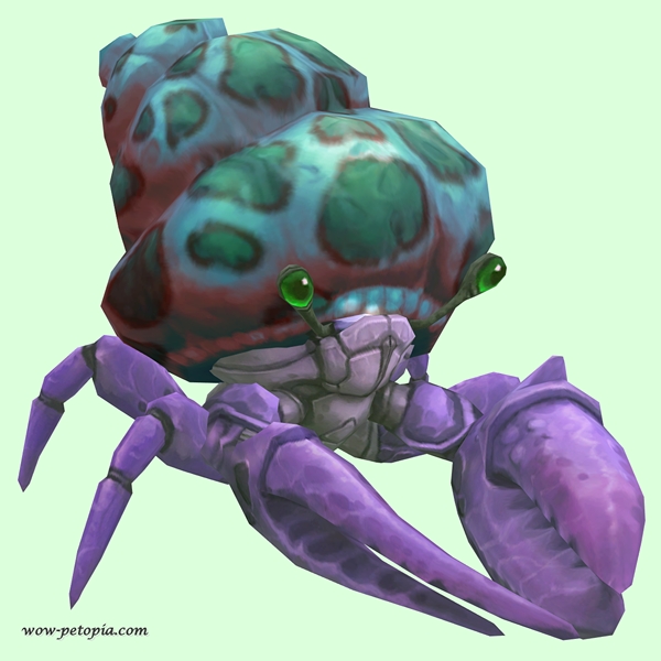 Purple Hermit Crab w/ Green-Spotted Teal Shell