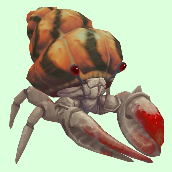 Red & White Hermit Crab w/ Orange & Black Shell