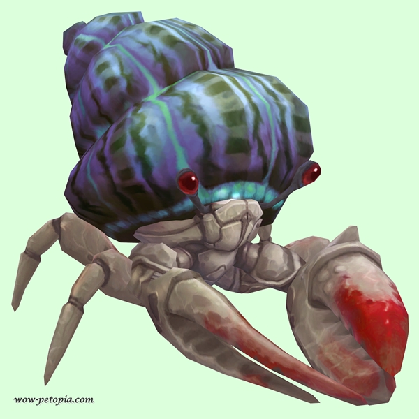 Red & White Hermit Crab w/ Purple & Green Shell