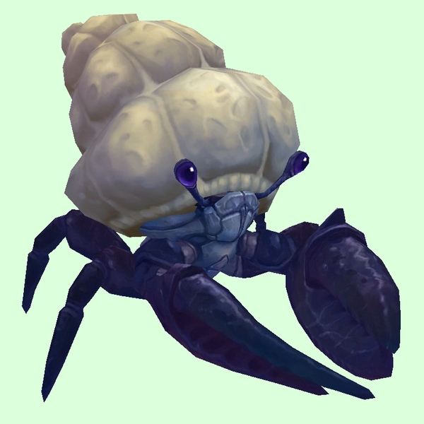 Indigo Hermit Crab w/ Plain Shell