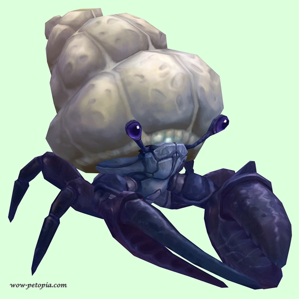 Indigo Hermit Crab w/ Plain Shell