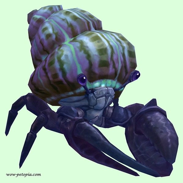 Indigo Hermit Crab w/ Purple & Green Shell