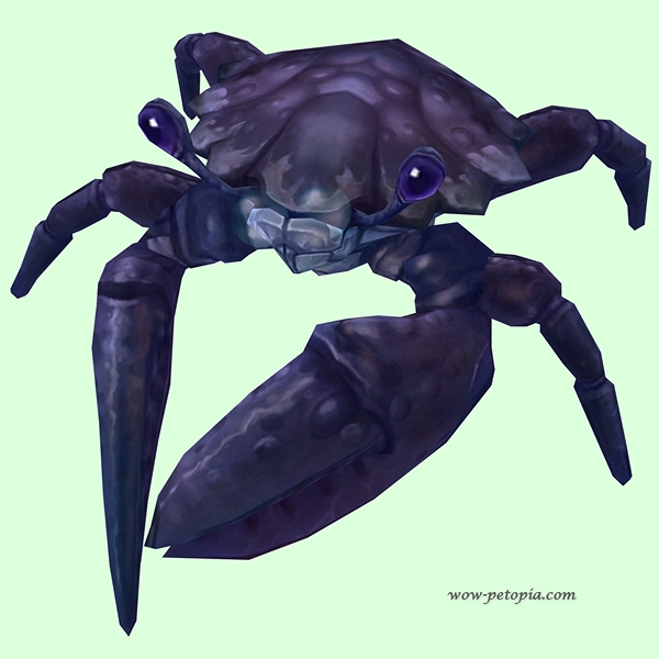 Indigo Crab