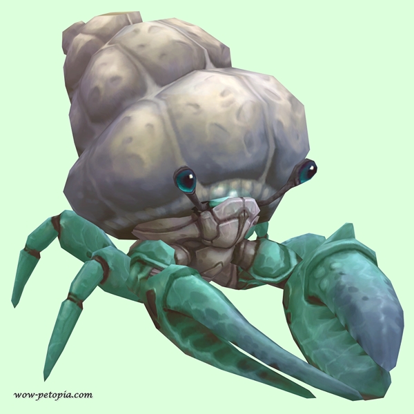 Teal Hermit Crab w/ Plain Shell