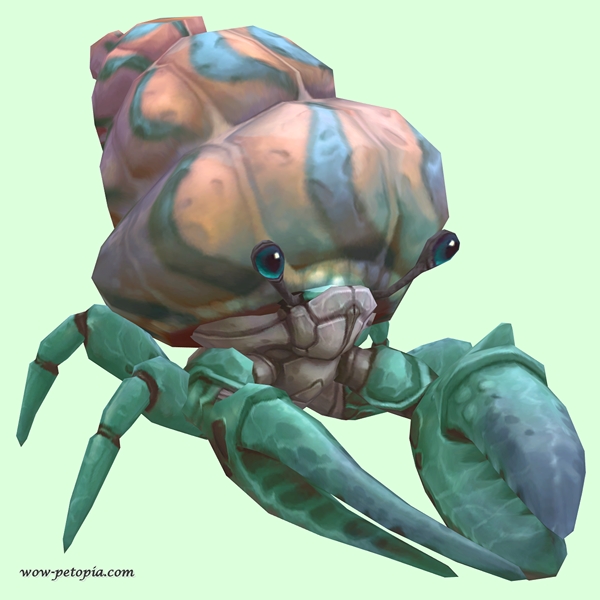 Teal Hermit Crab w/ Pale Orange & Blue Shell