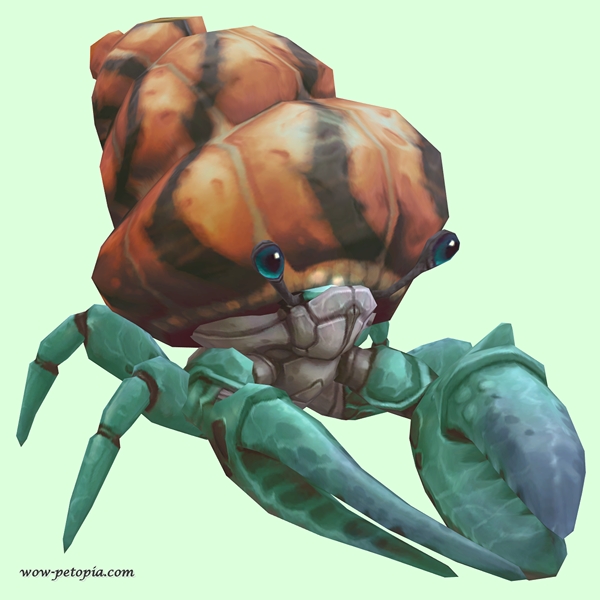 Teal Hermit Crab w/ Orange & Black Shell