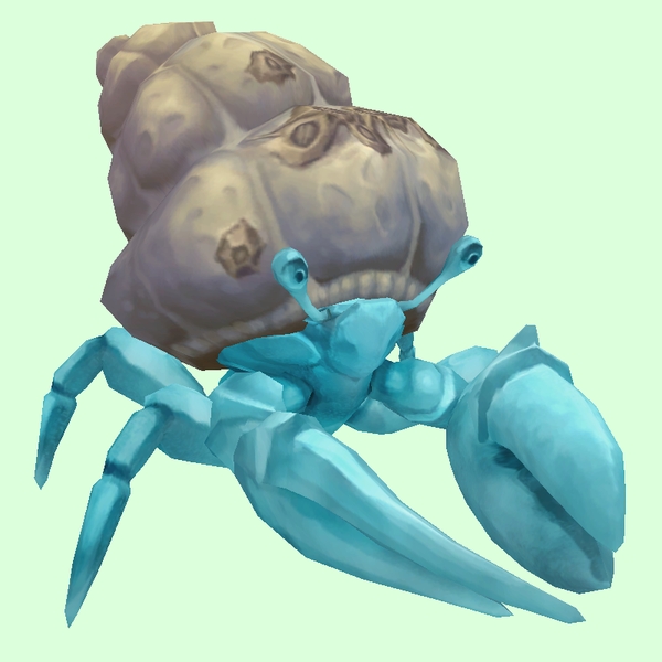 Light Blue Hermit Crab w/ Barnacled Shell