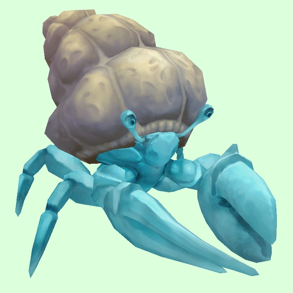 Light Blue Hermit Crab w/ Plain Shell
