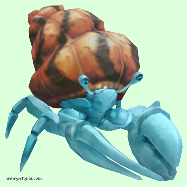 Light Blue Hermit Crab w/ Orange & Black Shell