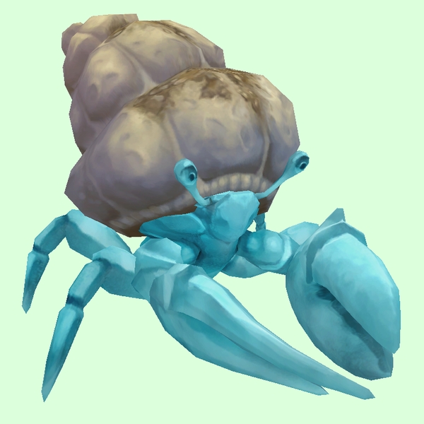 Light Blue Hermit Crab w/ Sandy Shell