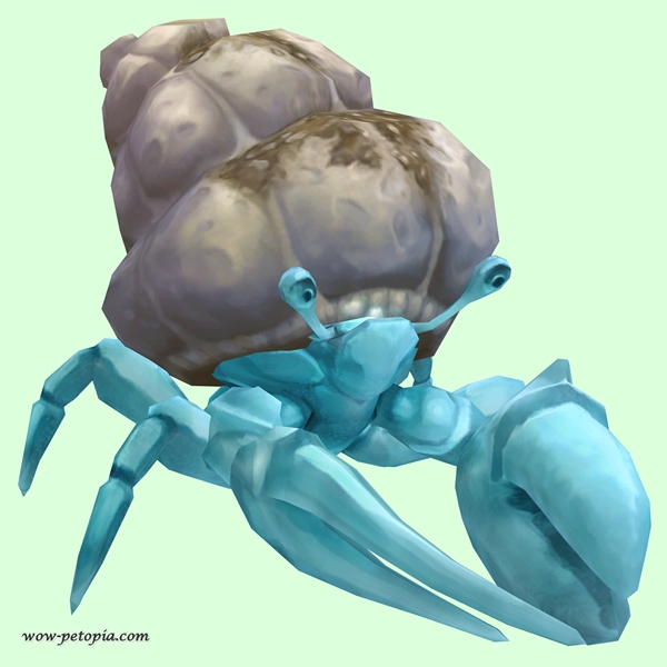 Light Blue Hermit Crab w/ Sandy Shell