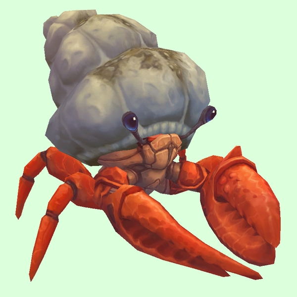 Vermilion Hermit Crab w/ Sandy Shell
