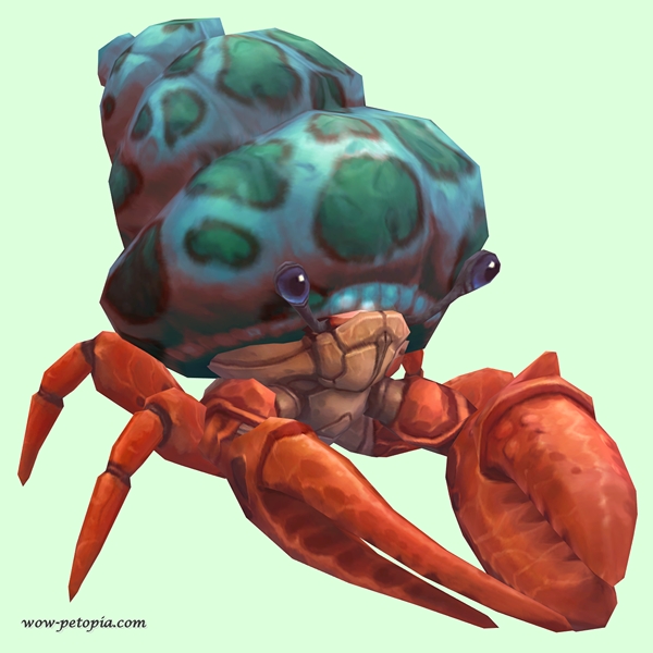 Vermilion Hermit Crab w/ Green-Spotted Teal Shell