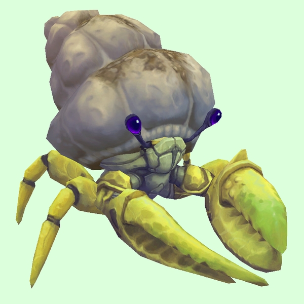 Yellow Hermit Crab w/ Sandy Shell