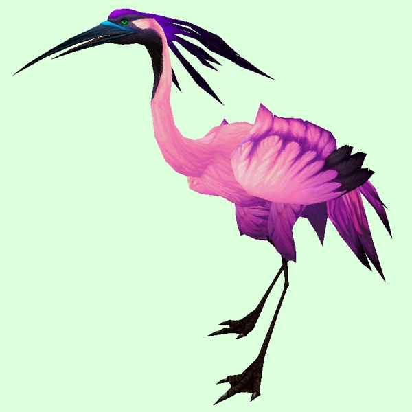 Pink Crane