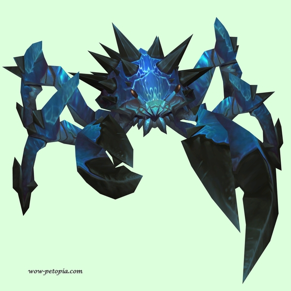 Dark Blue Spiked Crab