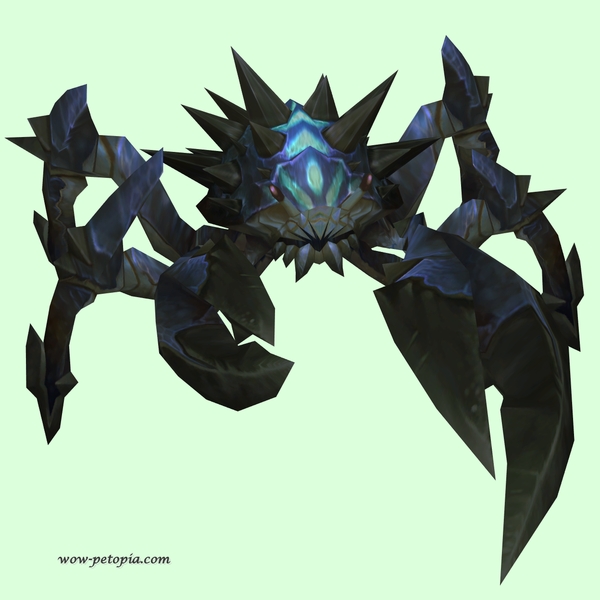 Blue-Black Spiked Crab w/ Blue Markings