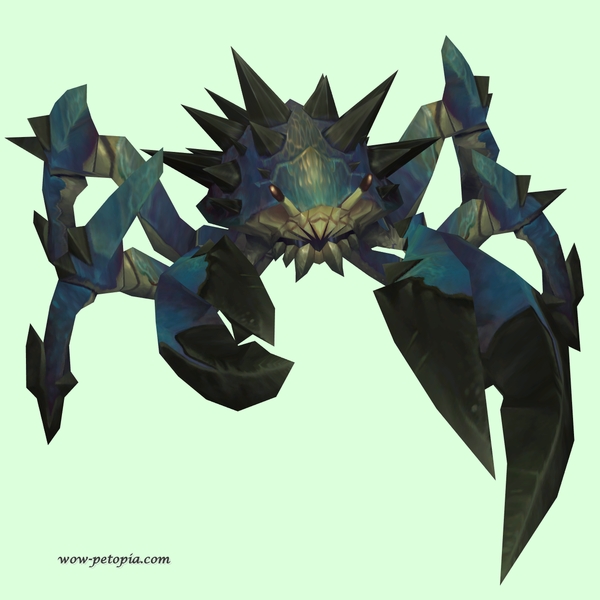 Sooty Blue Spiked Crab