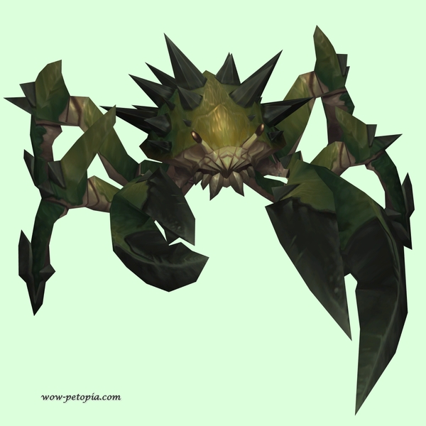 Dark Green Spiked Crab