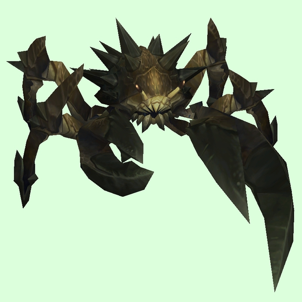 Black Spiked Crab