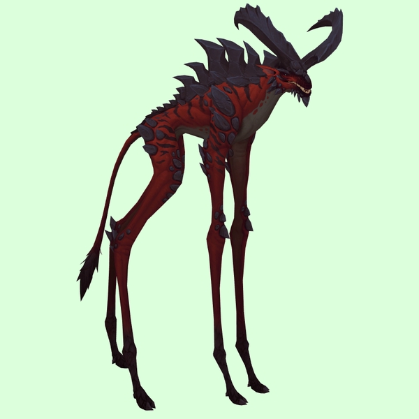 Red Deepstrider w/ Huge Horns & Spiny Back