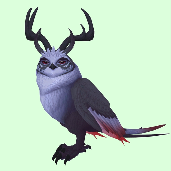 Black Somnowl w/ Pronged Antlers, No Ears, Horned Brows, Long Tail