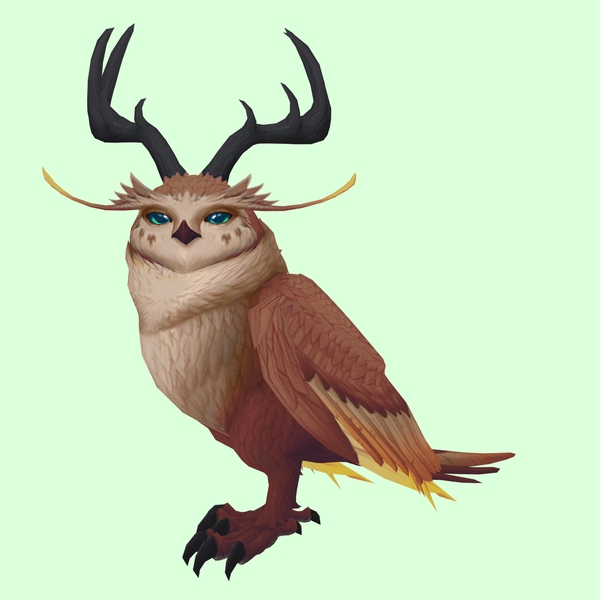 Brown Somnowl w/ Pronged Antlers, No Ears, Wide Brows, Medium Tail