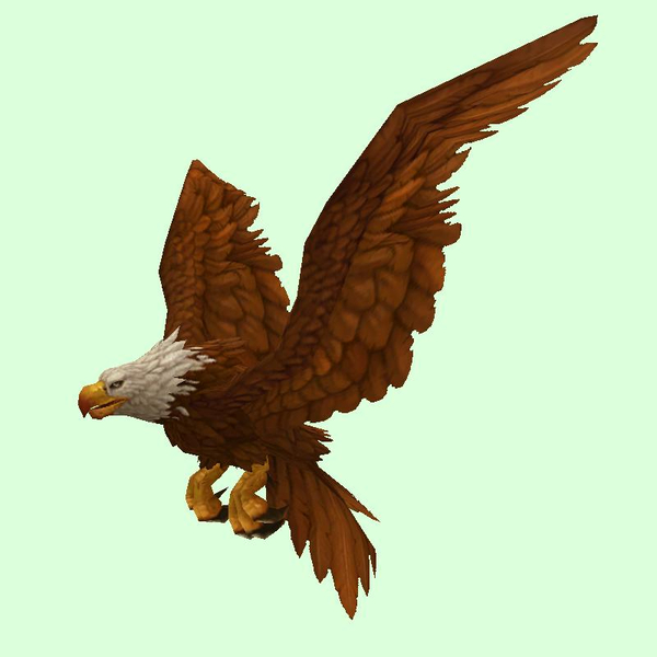 Brown Eagle