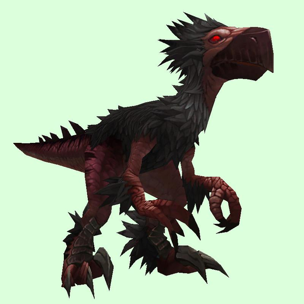 Black & Red Falcosaur