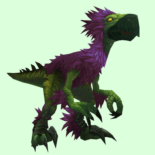 Purple & Green Falcosaur